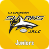 Caloundra Sharks JRL Logo