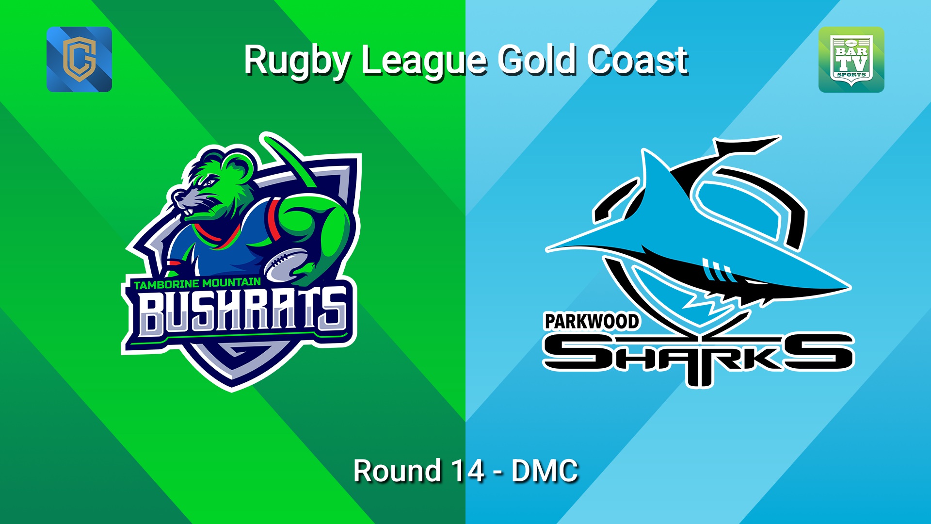 260704-video-Gold Coast Round 14 - DMC - Tamborine Mountain Bushrats v Parkwood Sharks Slate Image