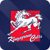 Kingsgrove Colts Logo
