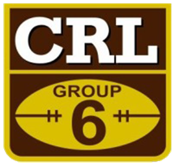 Group 6 Logo