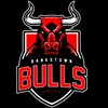 Bankstown Bulls Logo