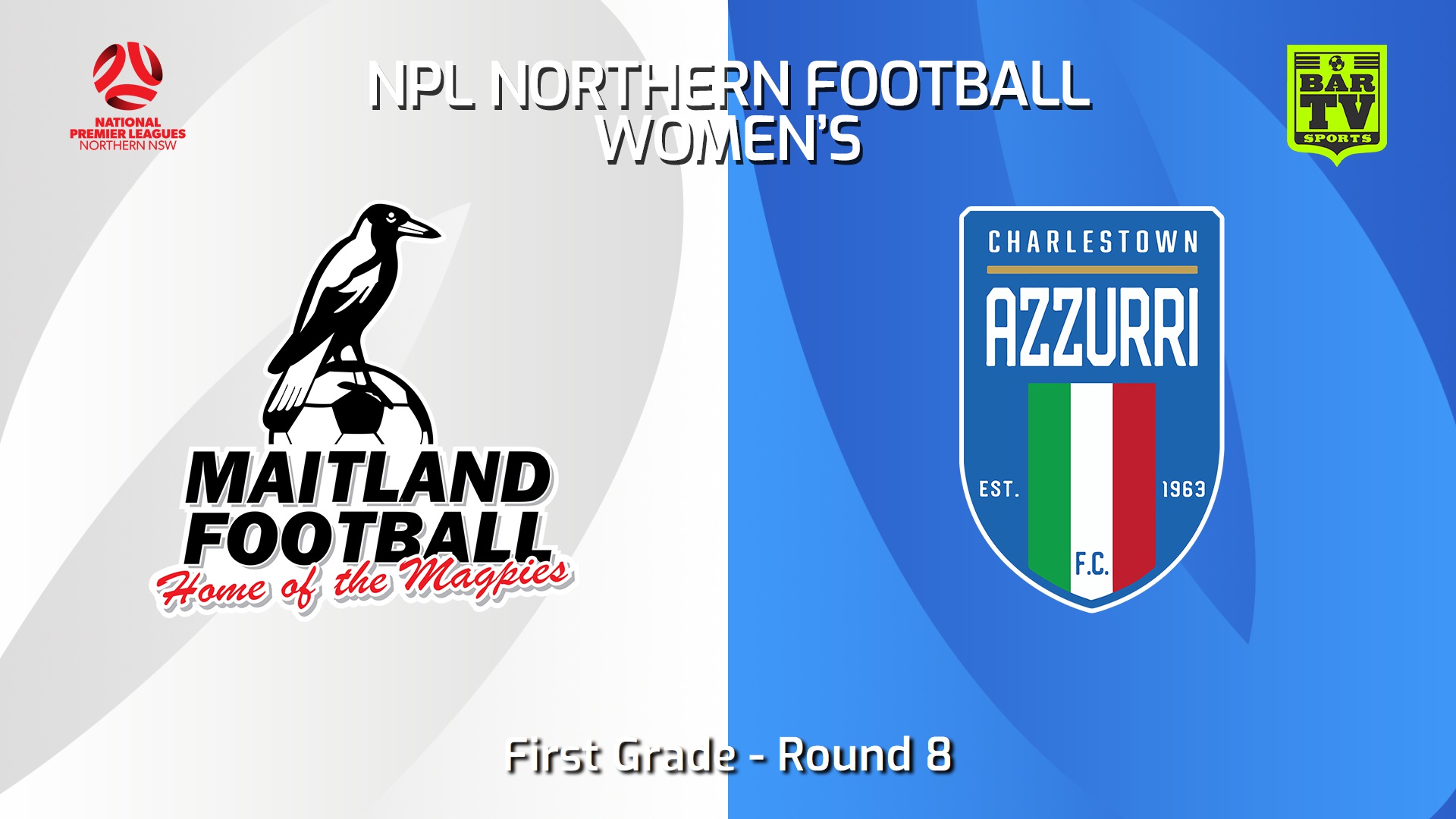 240803-video-NNSW NPLW Round 8 - Maitland FC W v Charlestown Azzurri FC W Slate Image