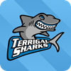 Terrigal Sharks Logo