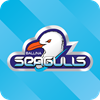 Ballina Seagulls Logo