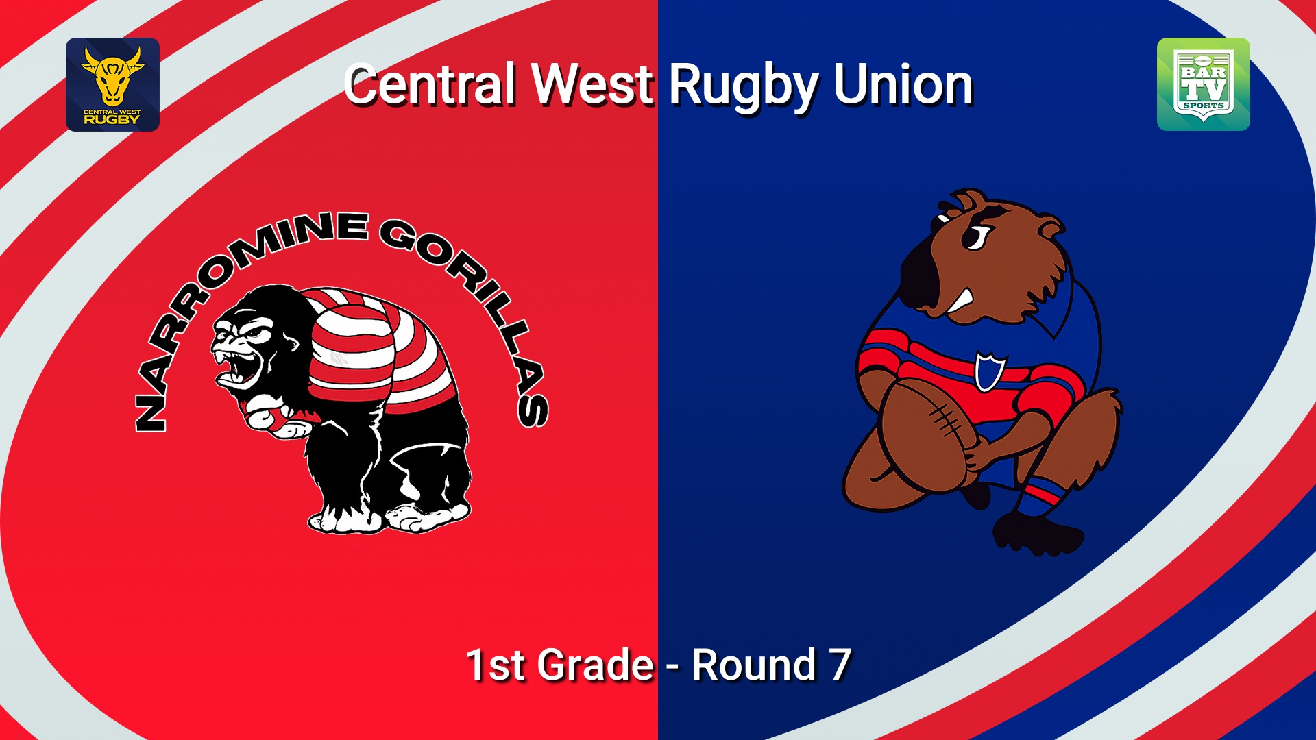 260530-video-Central West Rugby Round 7 - 1st Grade - Narromine Gorillas v Mudgee Wombats Slate Image