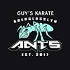 Guys Karate Ants Logo