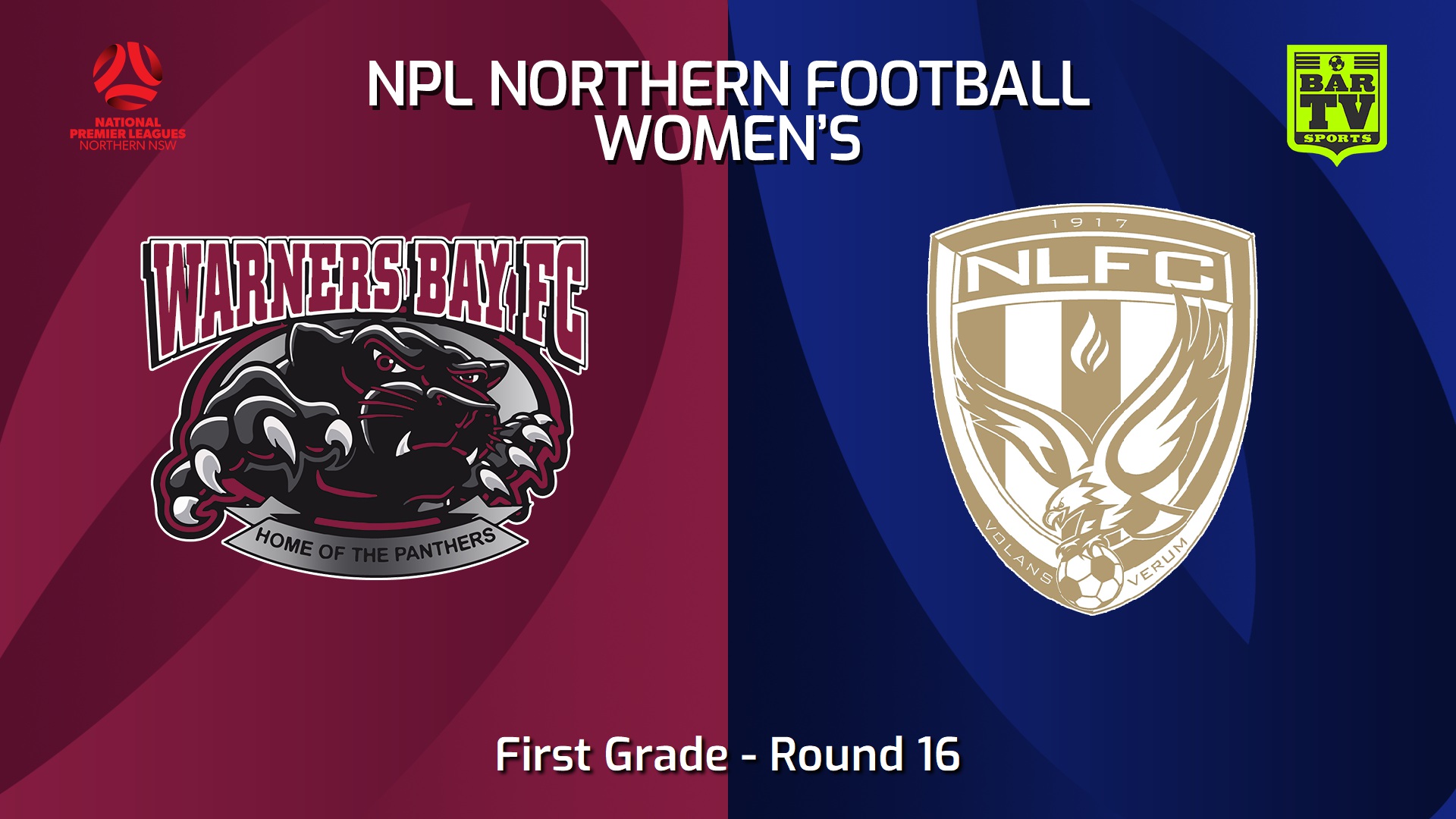 240724-video-NNSW NPLW Round 16 - Warners Bay FC W v New Lambton FC W Slate Image