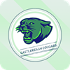 Castlereagh Cougars Logo