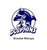 Broulee Dolphins Logo