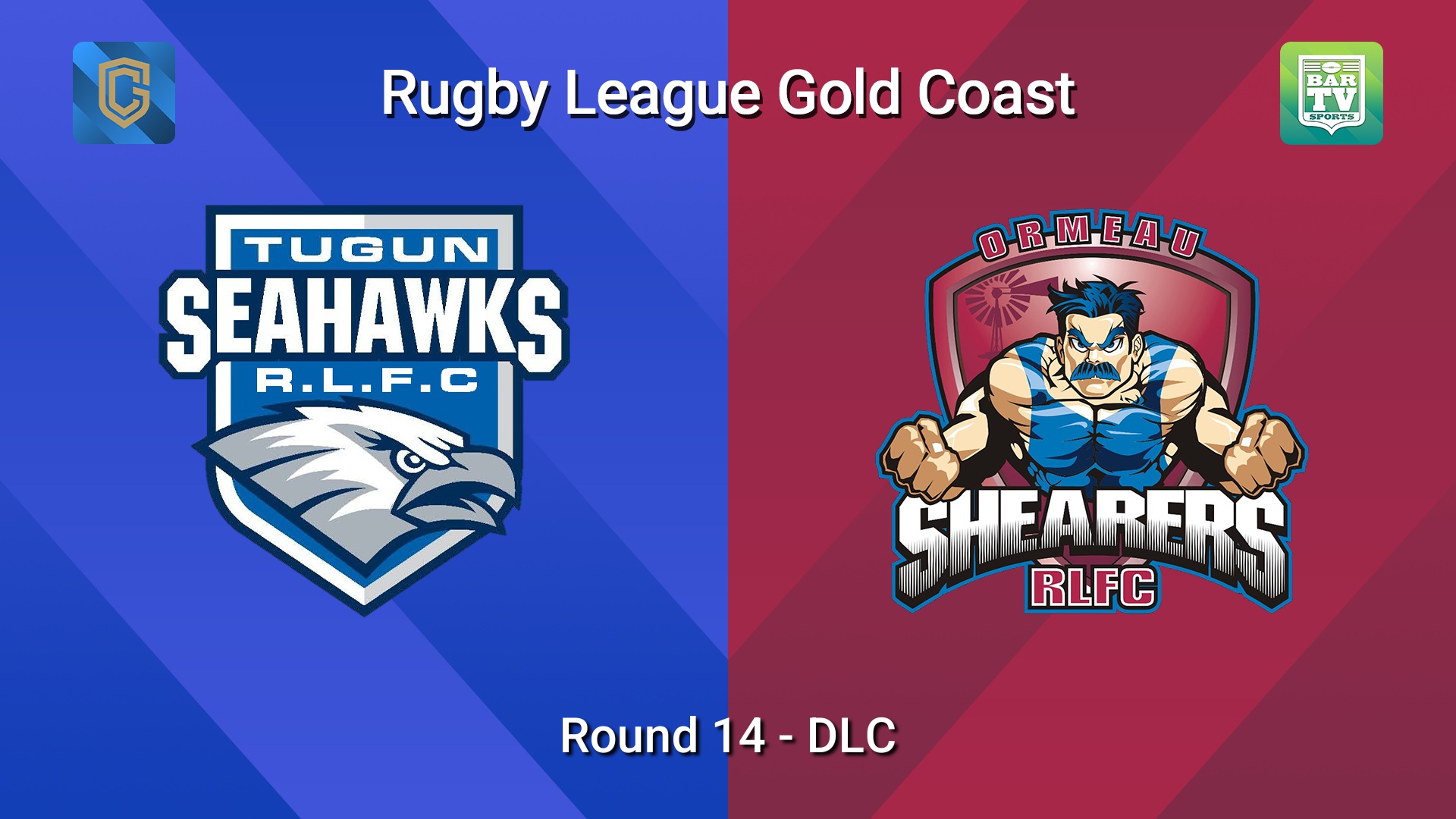 260704-video-Gold Coast Round 14 - DLC - Tugun Seahawks v Ormeau Shearers Minigame Slate Image