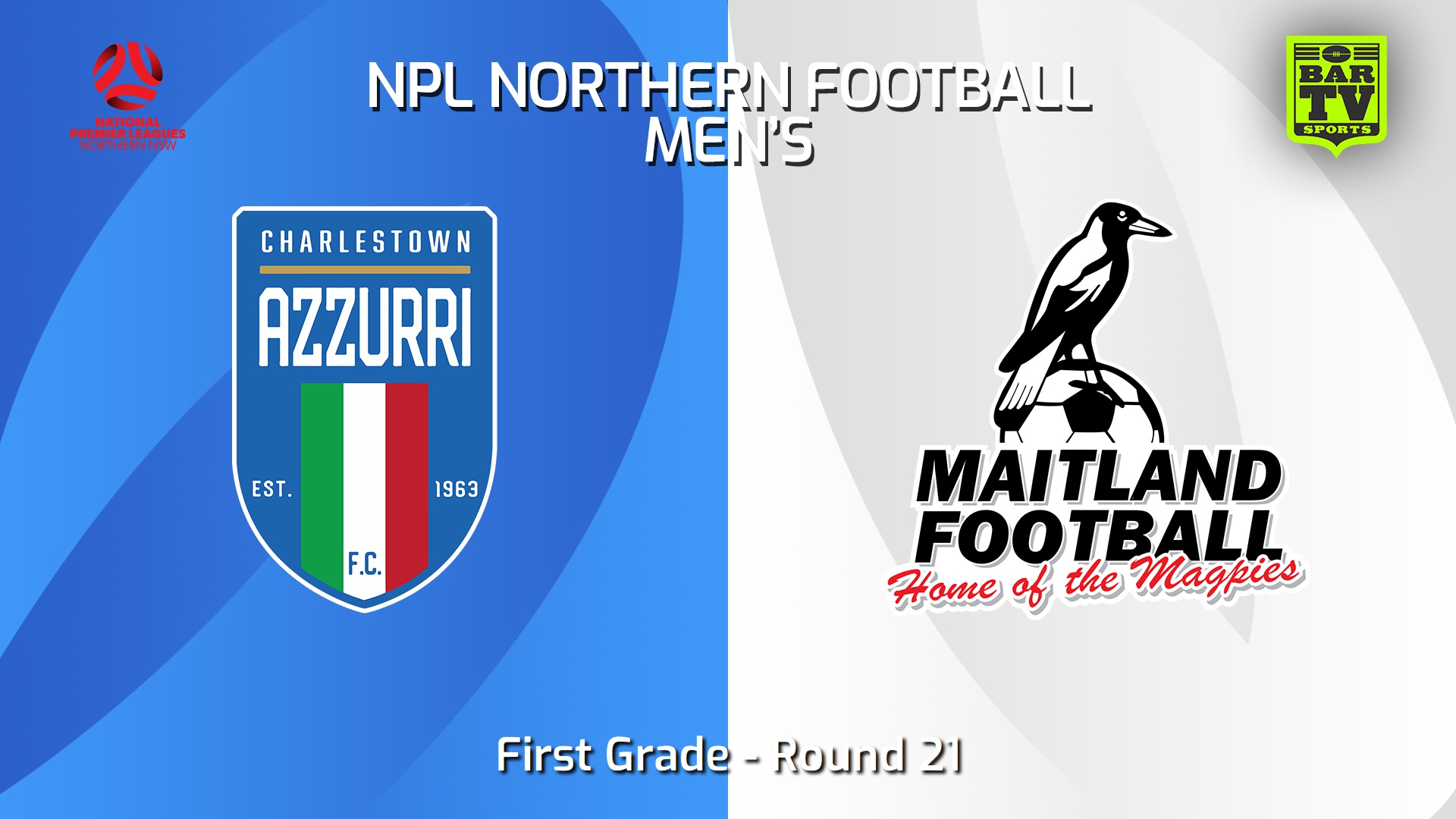 240811-video-NNSW NPLM Round 21 - Charlestown Azzurri FC v Maitland FC Slate Image