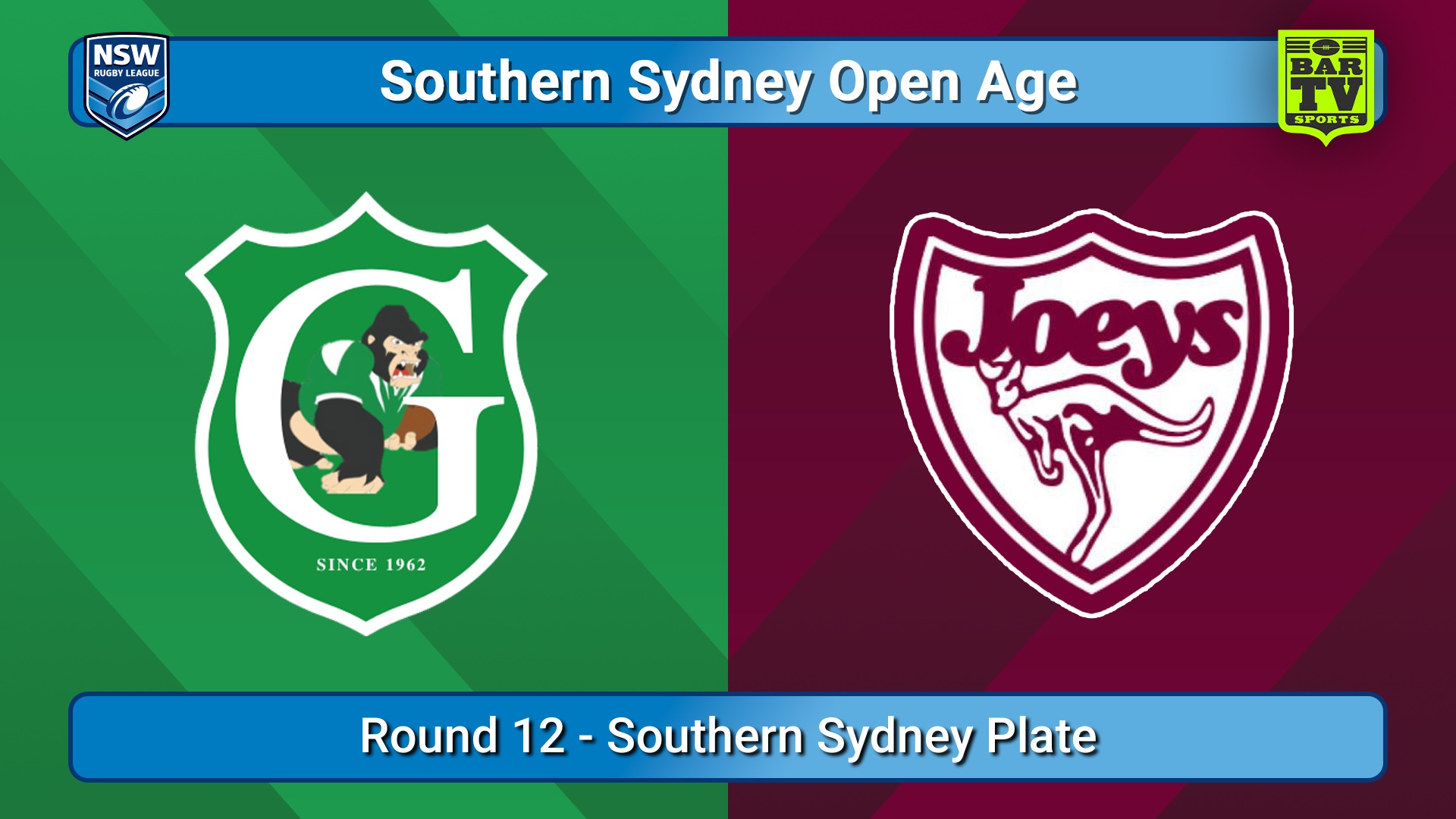250705-video-S. Sydney Open Round 12 - Southern Sydney Plate - Gymea Gorillas v St Josephs Slate Image