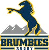 Brumbies Country Logo