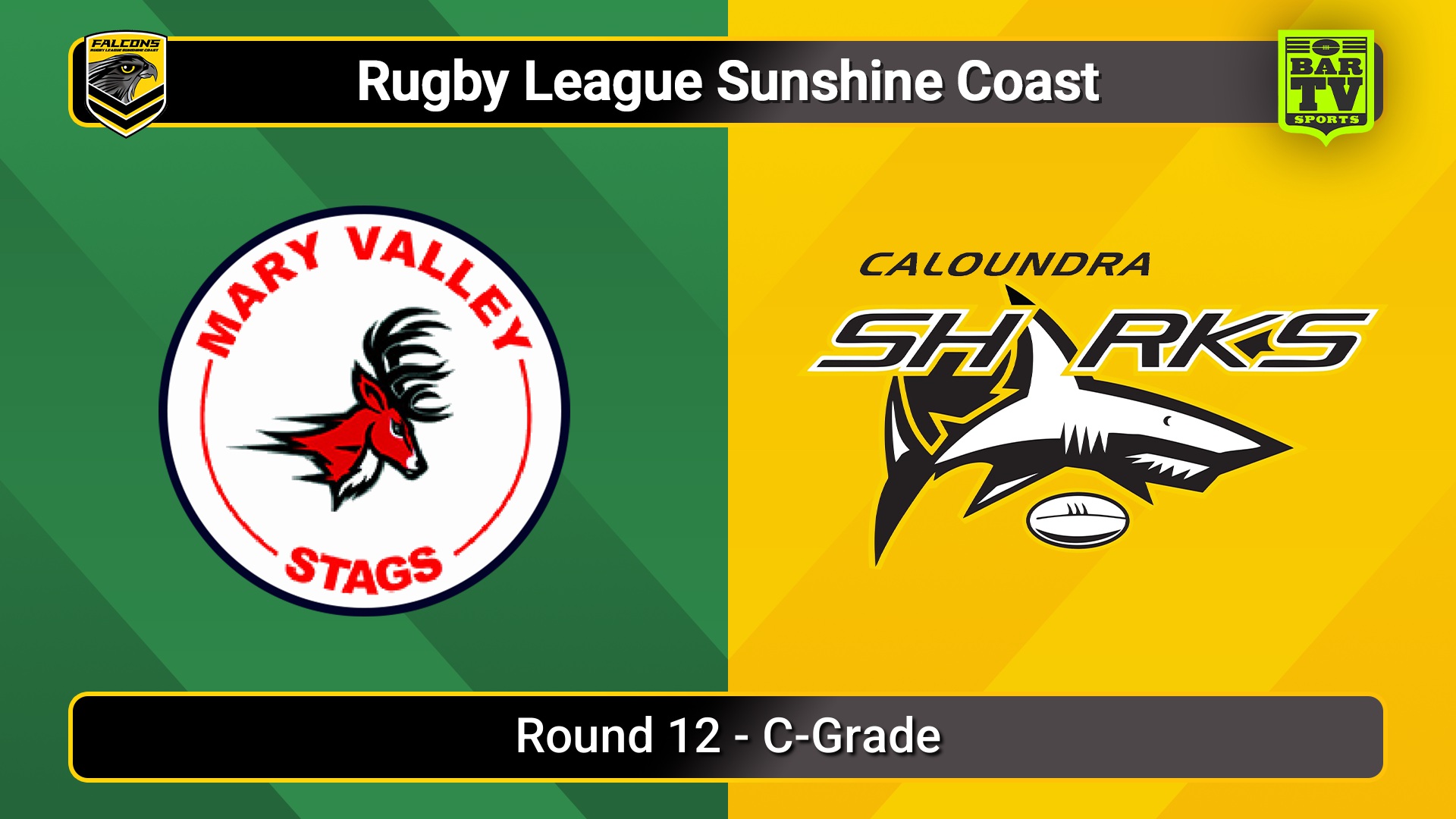 250705-video-Sunshine Coast RL Round 12 - C-Grade - Mary Valley Stags v Caloundra Sharks Slate Image