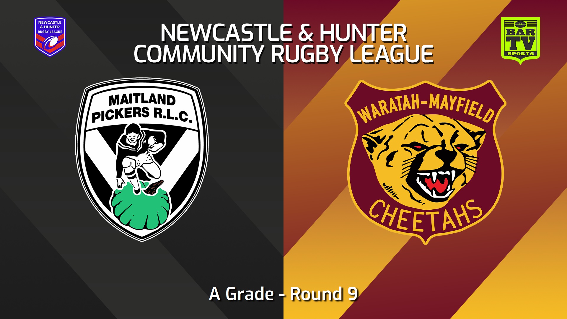 250614-video-NHRL Round 9 - A Grade - Maitland Pickers v Waratah-Mayfield Slate Image