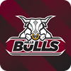 Hills Bulls Logo