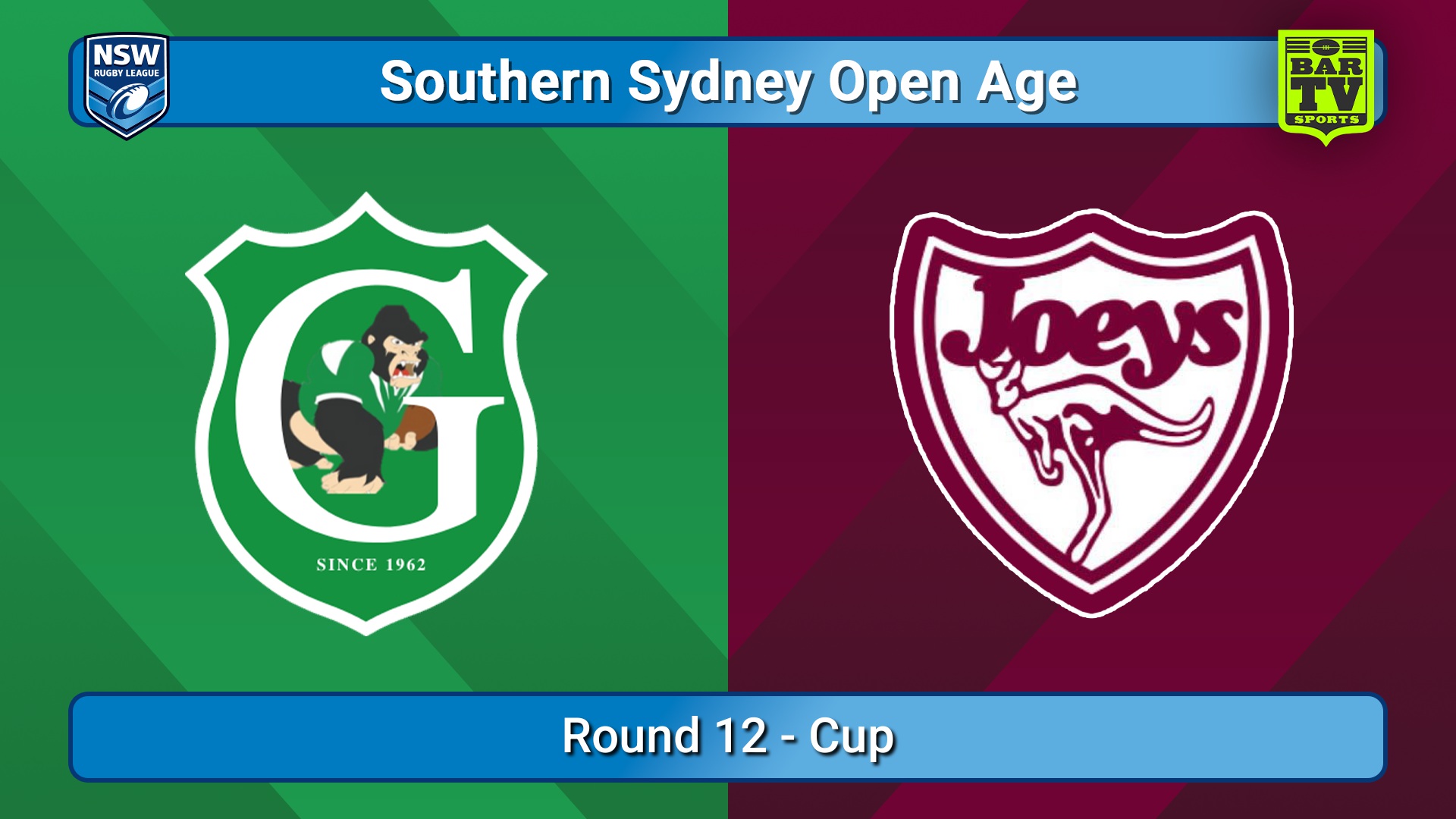 250705-video-S. Sydney Open Round 12 - Cup - Gymea Gorillas v St Josephs Slate Image
