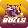 CQ BULLS Logo