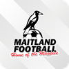 Maitland FC Logo