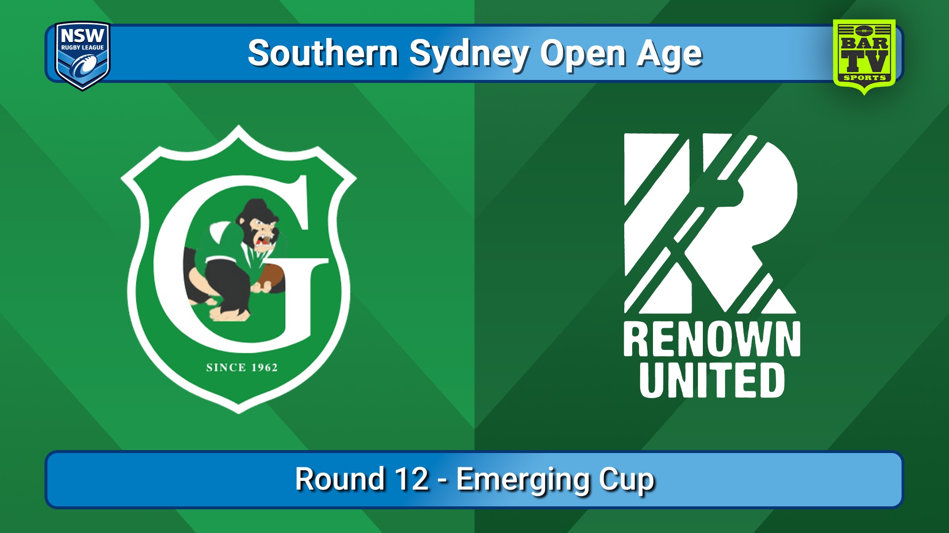 250705-video-S. Sydney Open Round 12 - Emerging Cup - Gymea Gorillas v Renown United Slate Image