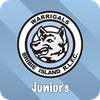 Bribie Island Warrigals JRL Logo