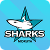 Moruya Sharks Logo