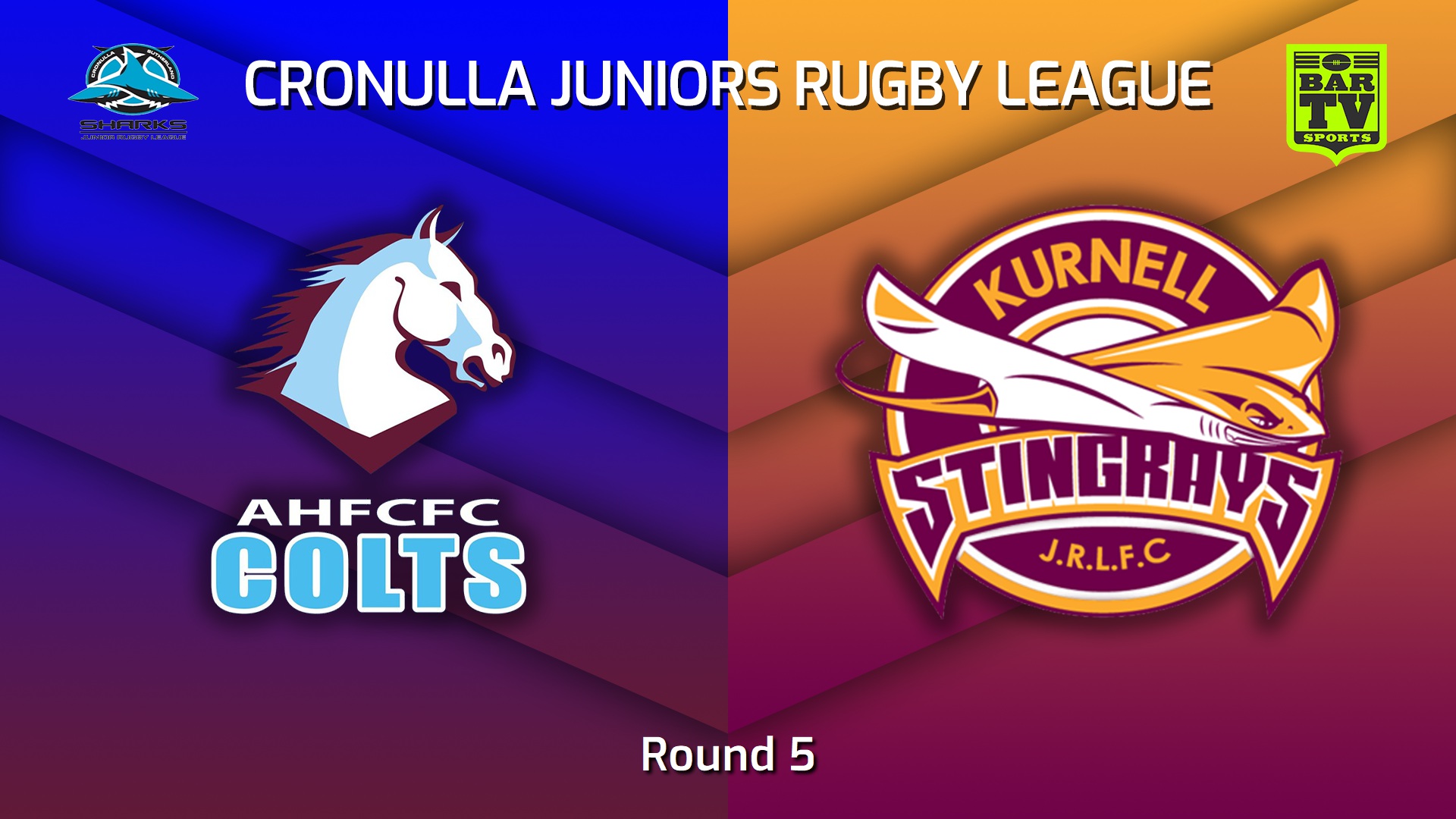 230723-Cronulla Juniors Round 5 - U10 Blues Tag Silver - Aquinas Colts v Kurnell Stingrays Slate Image