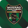 Monaro Panthers FC U20 Logo