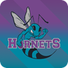 Hunter Western Hornets Logo