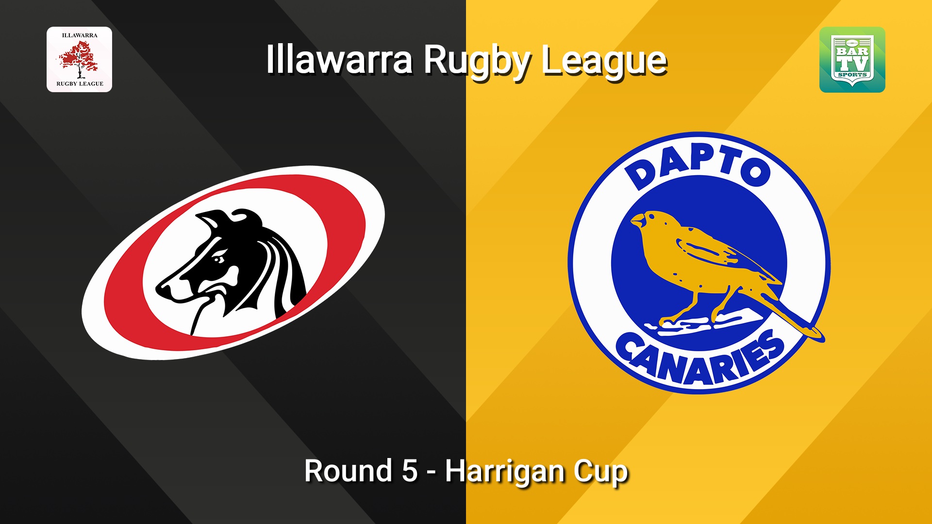 260711-video-Illawarra Round 5 - Harrigan Cup - Collegians v Dapto Canaries Slate Image