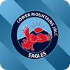 Lower Mountains Logo