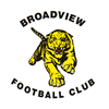 BROADVIEW Logo