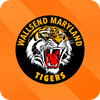 Wallsend Maryland Tigers Logo